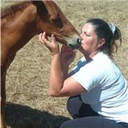 Professeur particulier